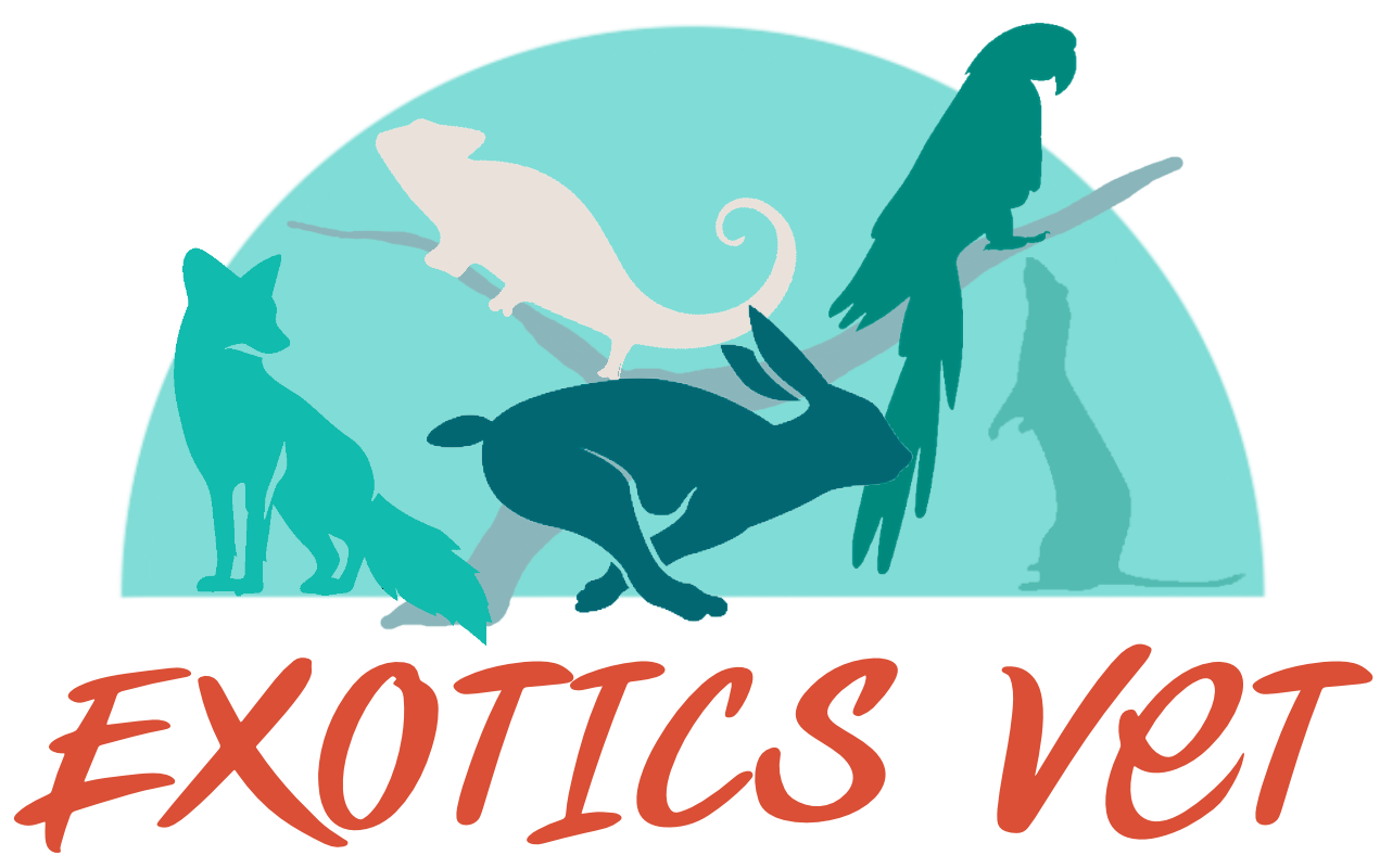 Logo Exotics Vet